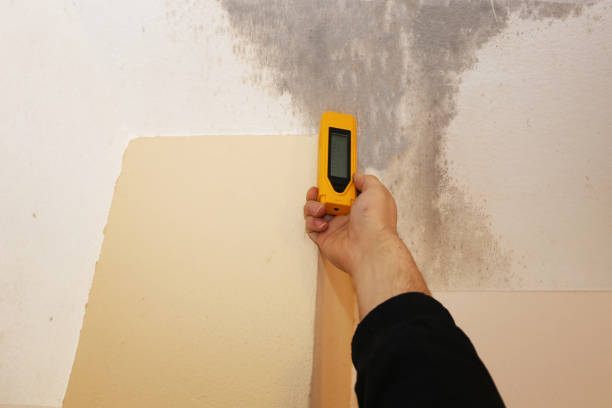 Best Mold Odor Removal Services  in Pixley, CA